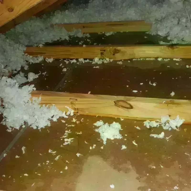 Attic Water Damage in Eldridge, CA