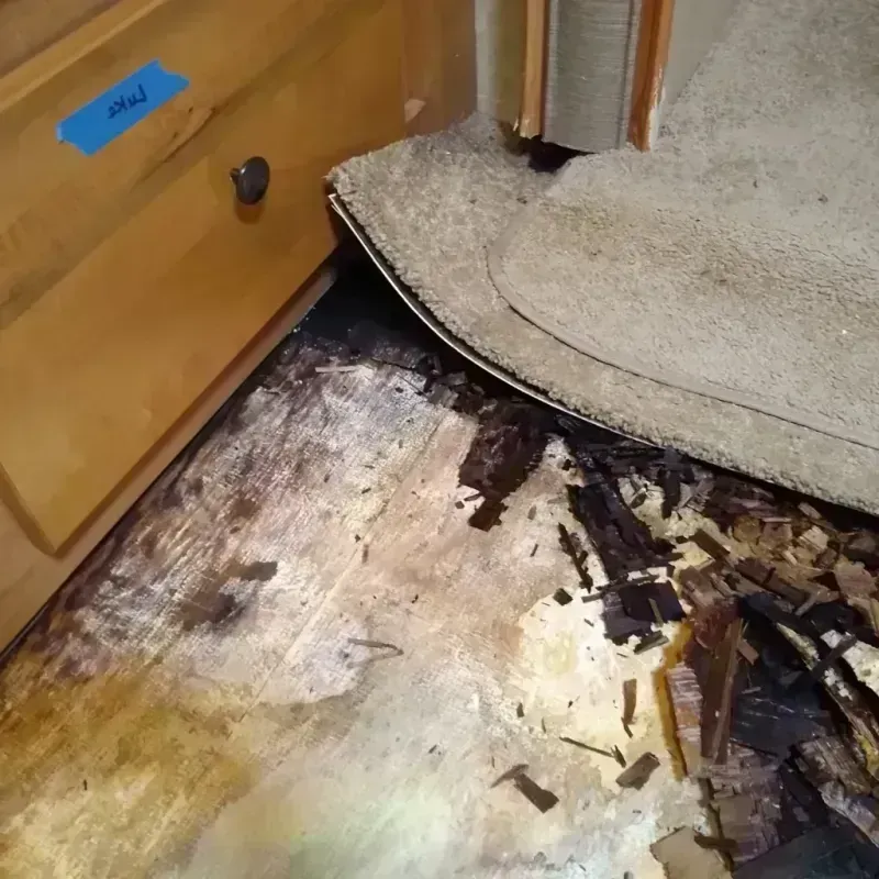 Wood Floor Water Damage in Eldridge, CA